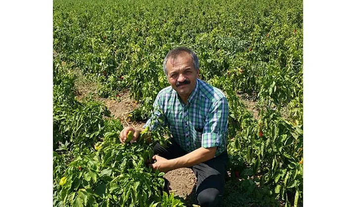 Hatipoğlu, ‘Pazarlarda gıda fiyatları değişmedi’ 